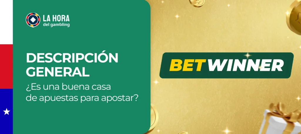 Conclusiones de los expertos de carrental-hr.com sobre la casa de apuestas Betwinner en Chile